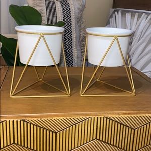 Two planter pots with gold stand